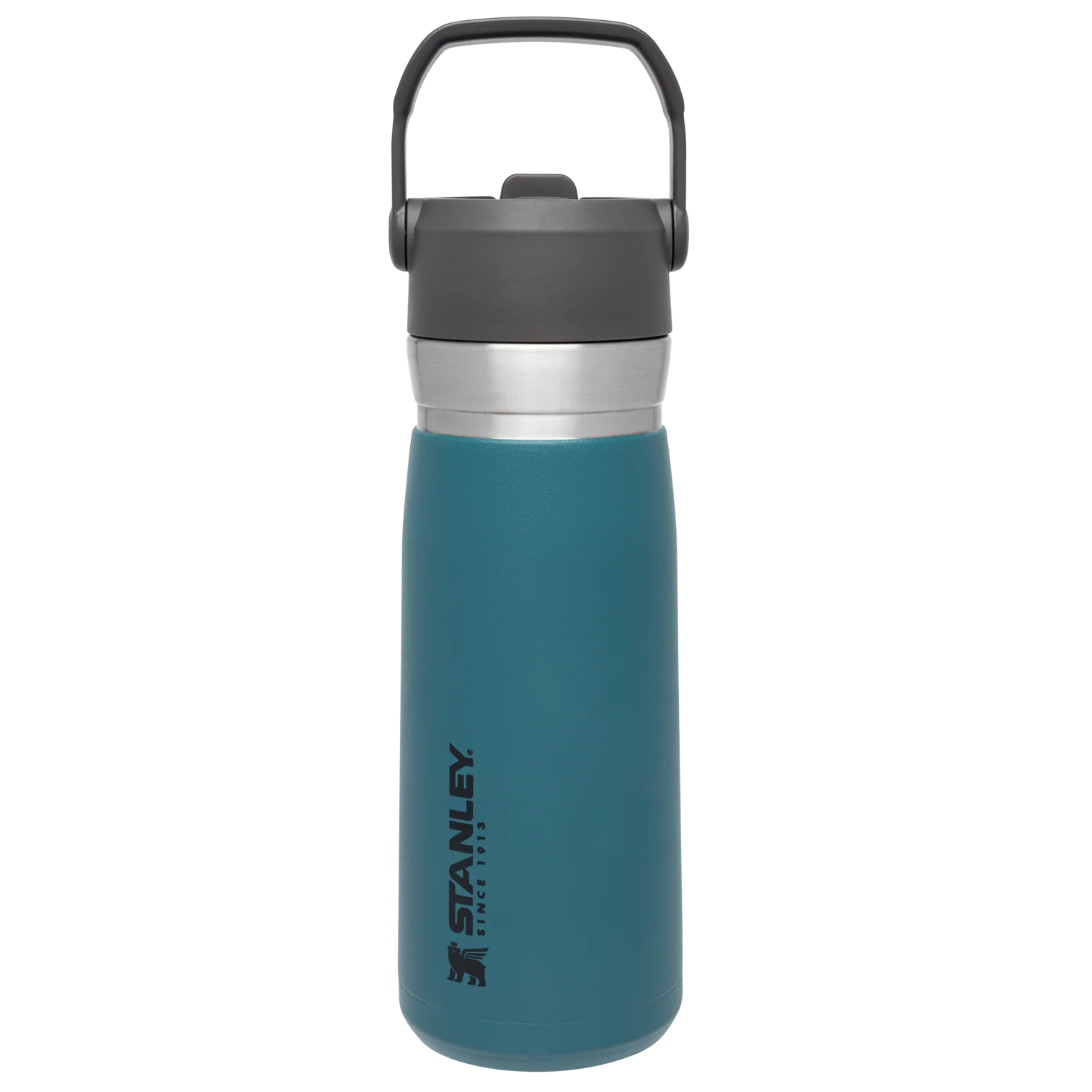 The Go Flip Straw Water Bottle | 22 OZ